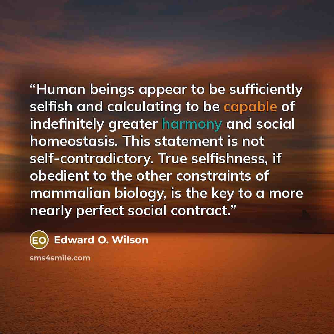 “Human beings appear to be sufficiently selfish and calculating to be capable of indefinitely greater harmony and social homeostasis. This statement is not self-contradictory. True selfishness, if obedient to the other constraints of mammalian biology, is the key to a more nearly perfect social…” quote by Edward O. Wilson