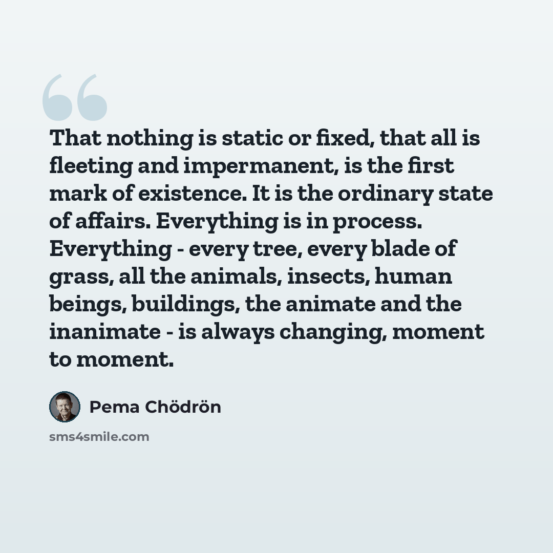 “That nothing is static or fixed, that all is fleeting and impermanent, is the first mark of existence. It is the ordinary state of affairs. Everything is in process. Everything - every tree, every blade of grass, all the animals, insects, human beings, buildings, the animate and the inanimate - is…” quote by Pema Chodron