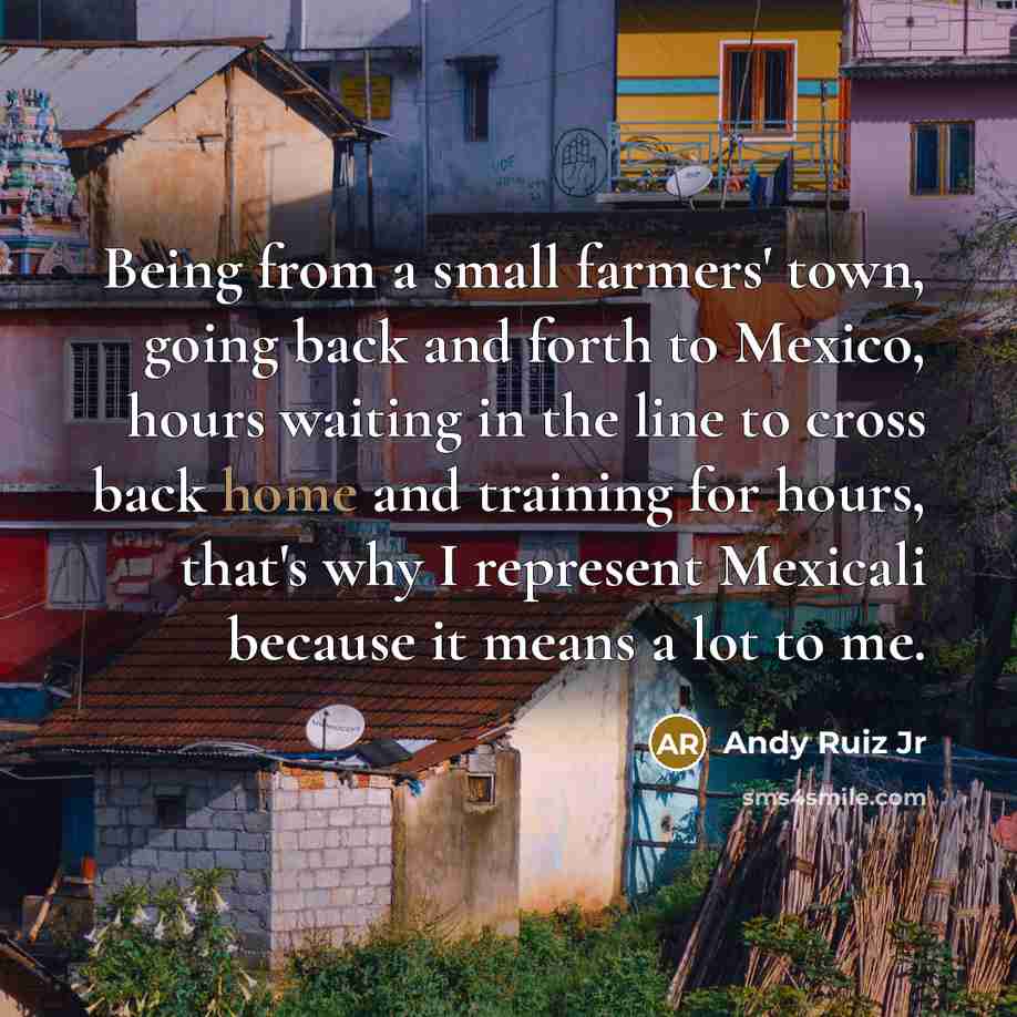 “Being from a small farmers' town, going back and forth to Mexico, hours waiting in the line to cross back home and training for hours, that's why I represent Mexicali because it means a lot to me.” quote by Andy Ruiz Jr