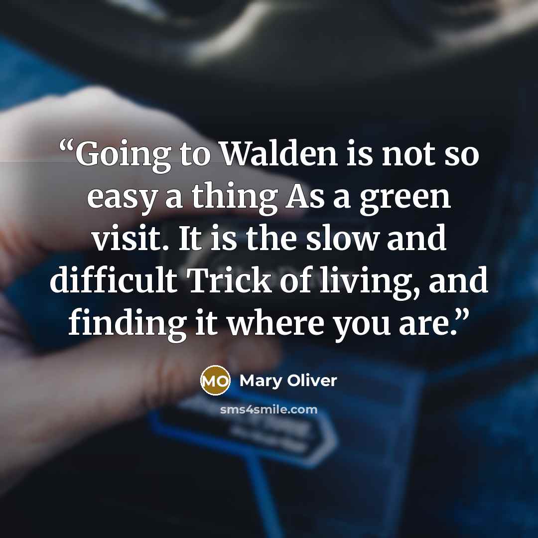“Going to Walden is not so easy a thing As a green visit. It is the slow and difficult Trick of living, and finding it where you are.” quote by Mary Oliver
