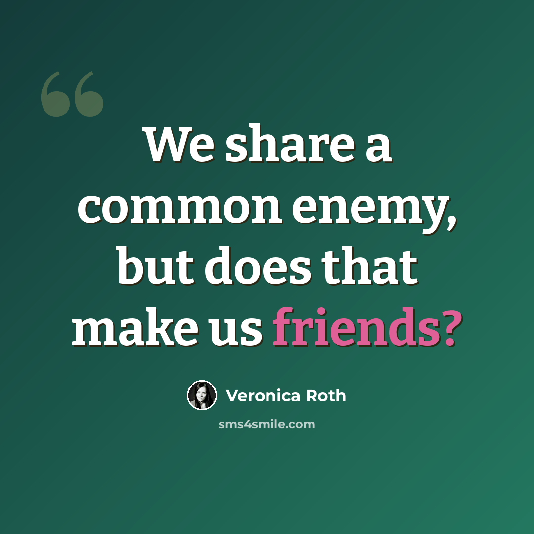 “We share a common enemy, but does that make us friends?” quote by Veronica Roth