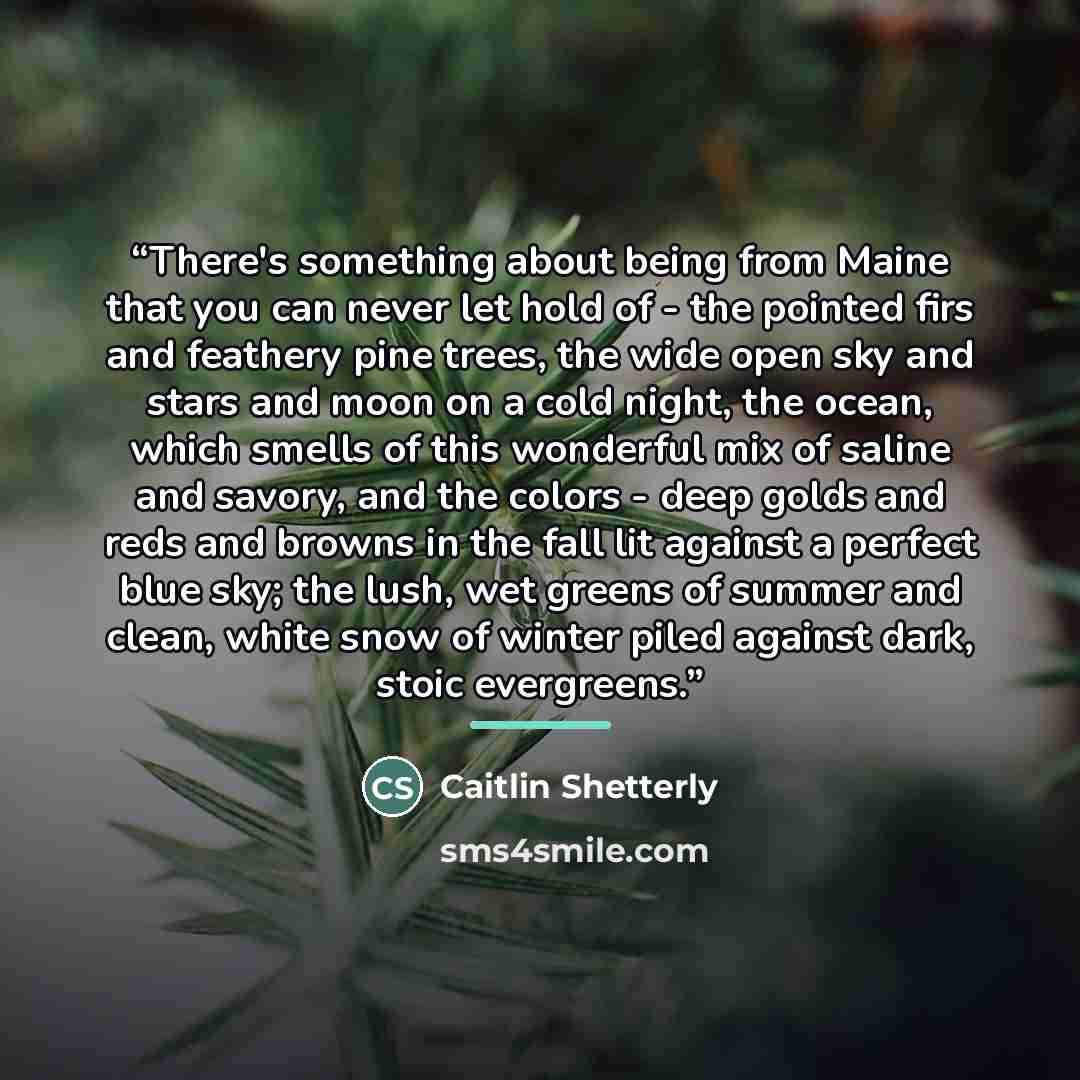 “There's something about being from Maine that you can never let hold of - the pointed firs and feathery pine trees, the wide open sky and stars and moon on a cold night, the ocean, which smells of this wonderful mix of saline and savory, and the colors - deep golds and reds and browns in the fall…” quote by Caitlin Shetterly