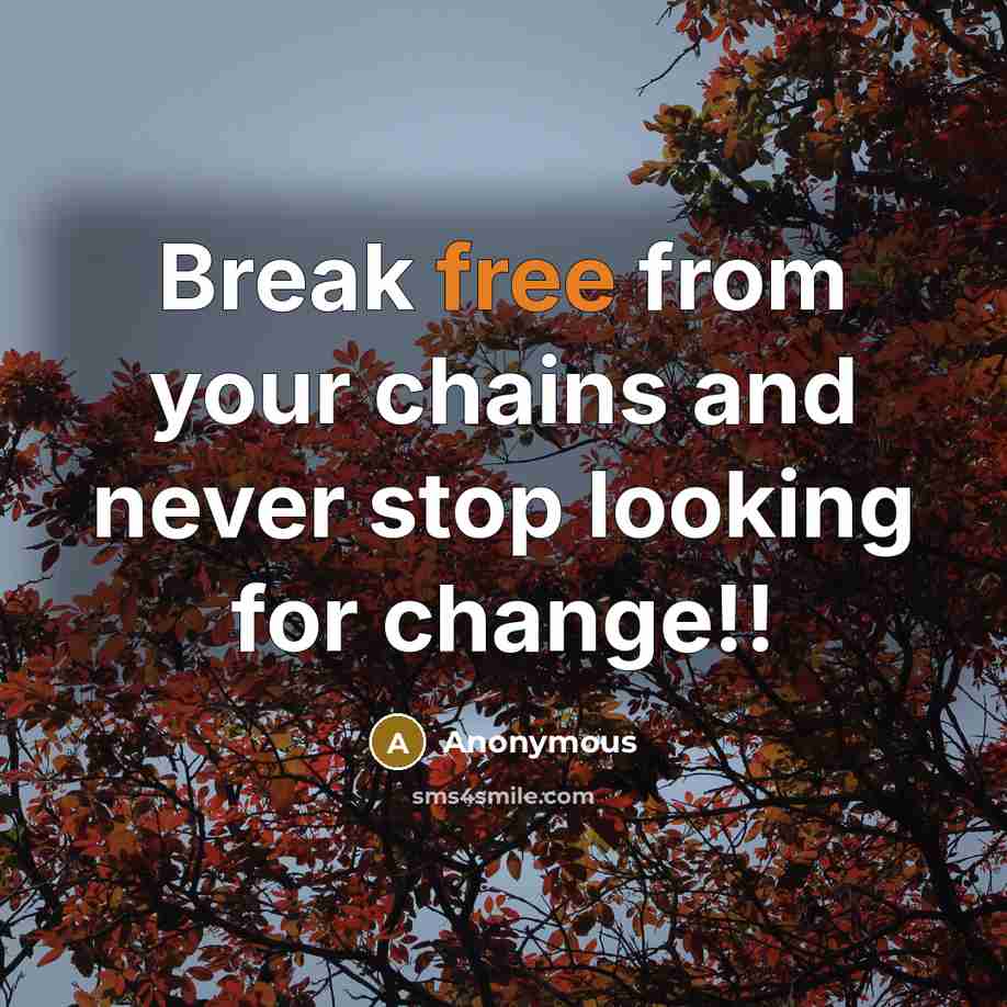 “Break free from your chains and never stop looking for change!!” quote by Anonymous