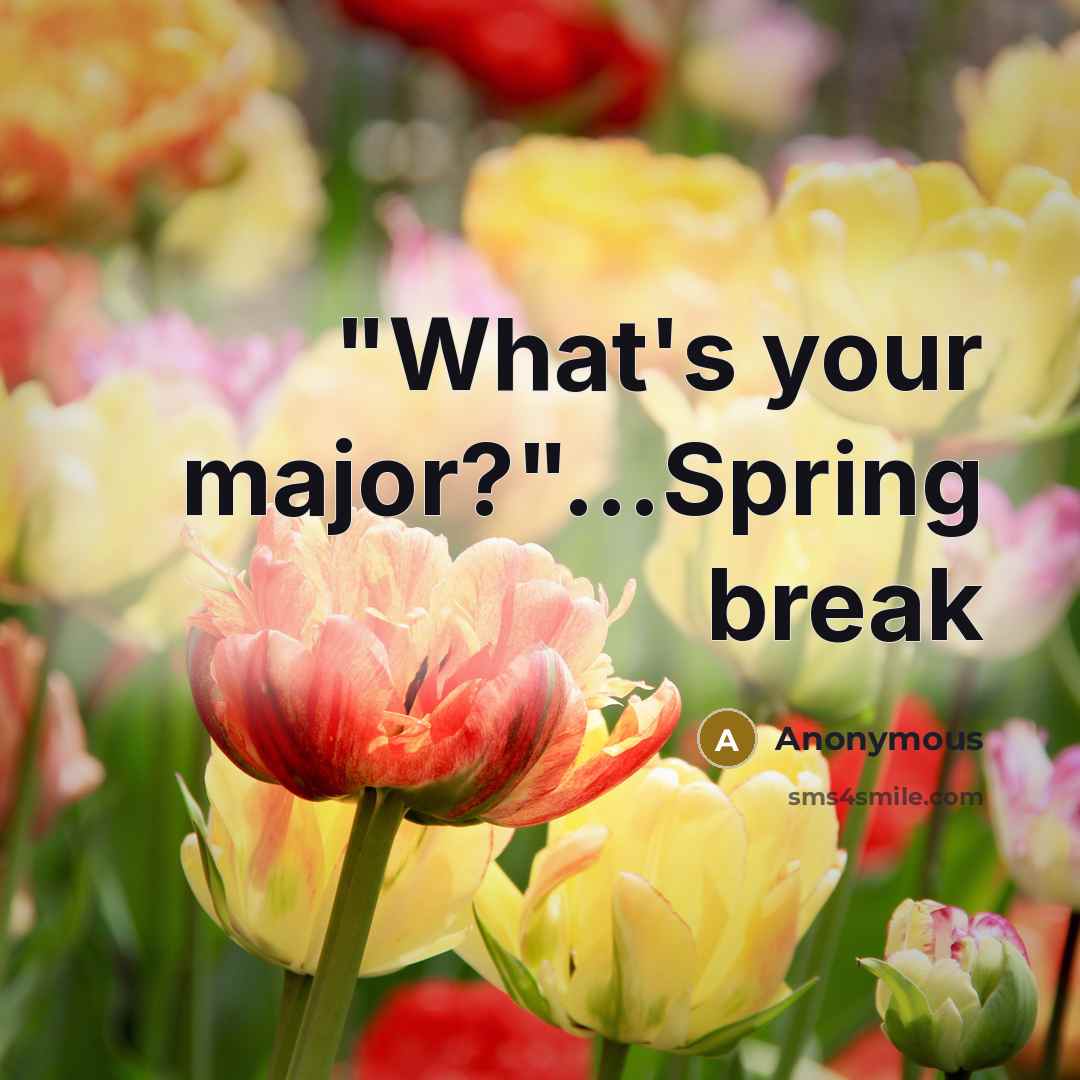 “"What's your major?"...Spring break” quote by Anonymous