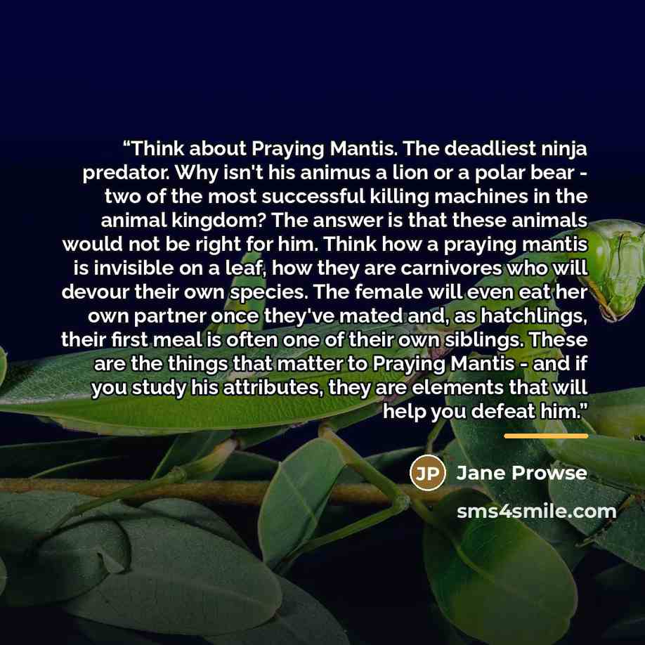 “Think about Praying Mantis. The deadliest ninja predator. Why isn't his animus a lion or a polar bear - two of the most successful killing machines in the animal kingdom? The answer is that these animals would not be right for him. Think how a praying mantis is invisible on a leaf, how they are…” quote by Jane Prowse