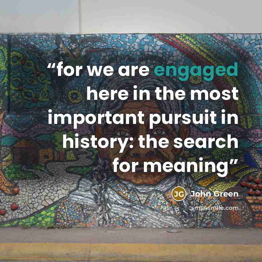 “for we are engaged here in the most important pursuit in history: the search for meaning” quote by John Green