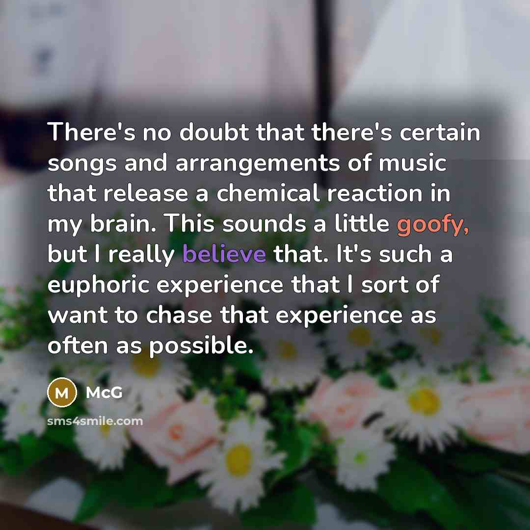 “There's no doubt that there's certain songs and arrangements of music that release a chemical reaction in my brain. This sounds a little goofy, but I really believe that. It's such a euphoric experience that I sort of want to chase that experience as often as possible.” quote by McG