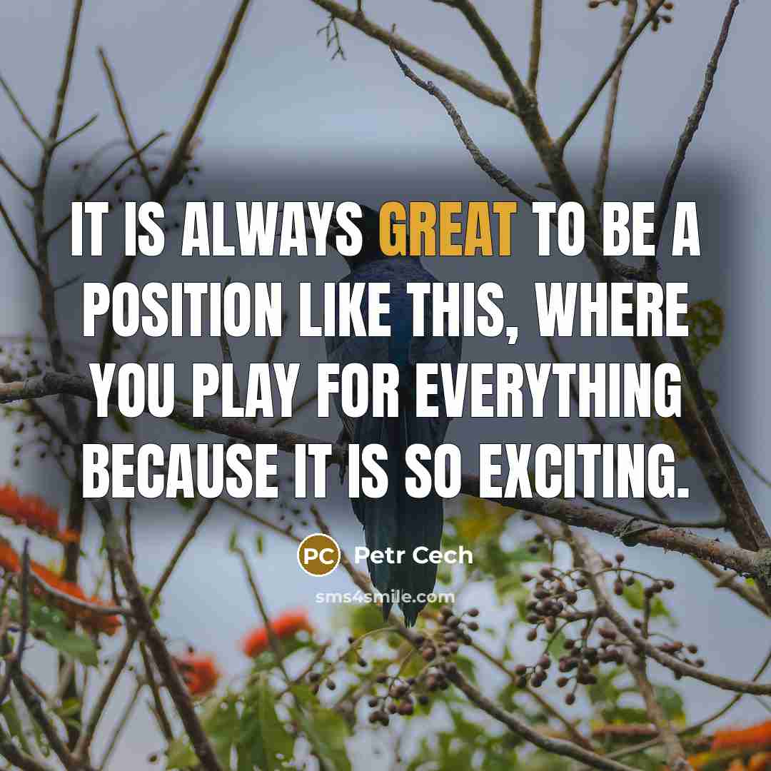 “It is always great to be a position like this, where you play for everything because it is so exciting.” quote by Petr Cech