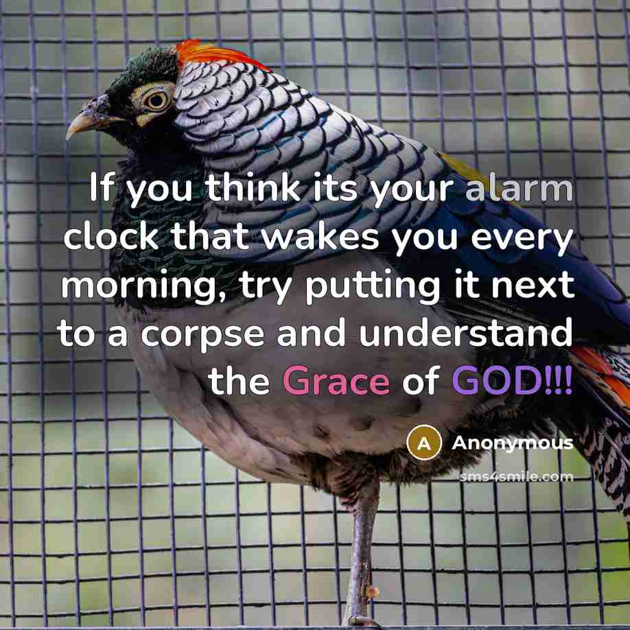 “If you think its your alarm clock that wakes you every morning, try putting it next to a corpse and understand the Grace of GOD!!!” quote by Anonymous