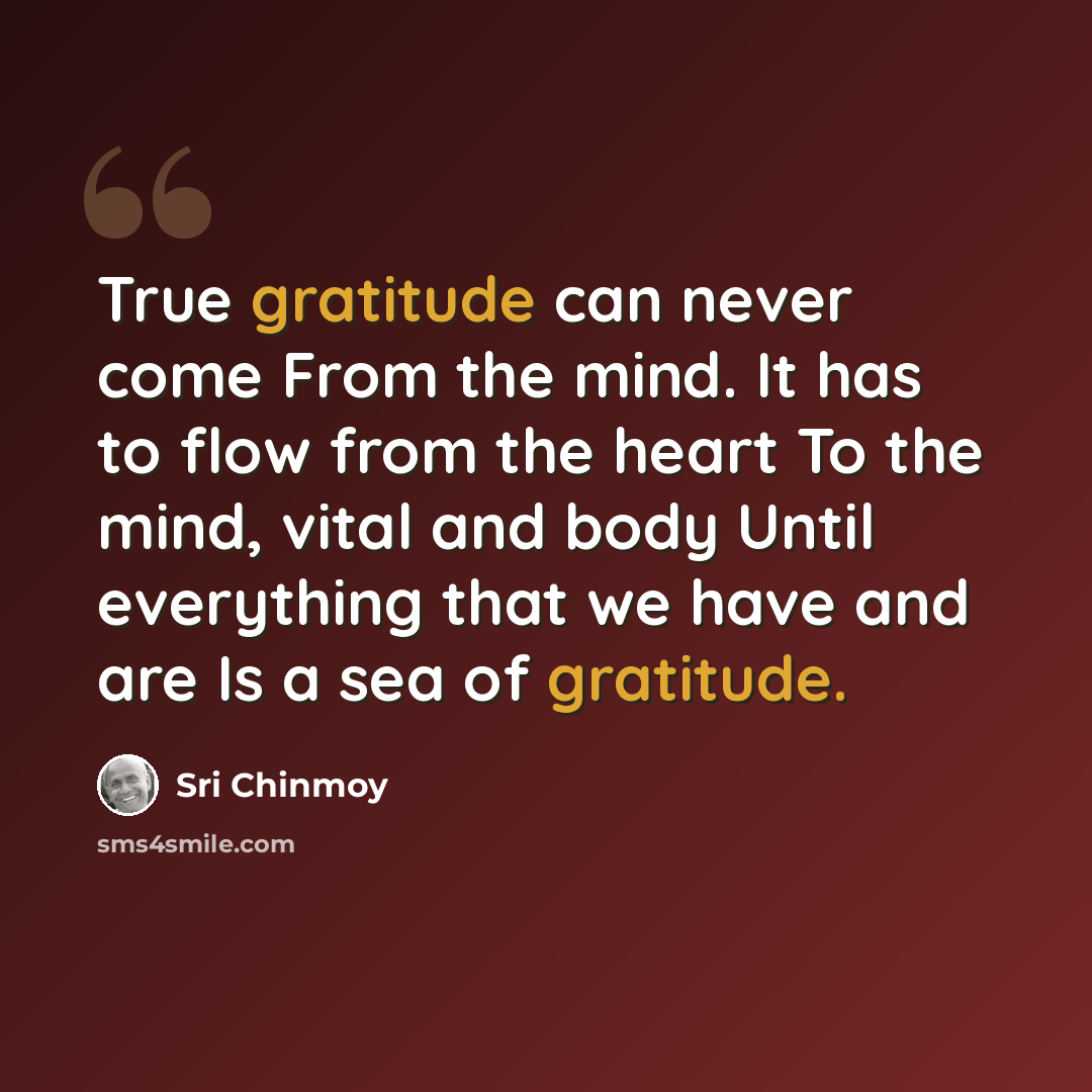 “True gratitude can never come From the mind. It has to flow from the heart To the mind, vital and body Until everything that we have and are Is a sea of gratitude.” quote by Sri Chinmoy