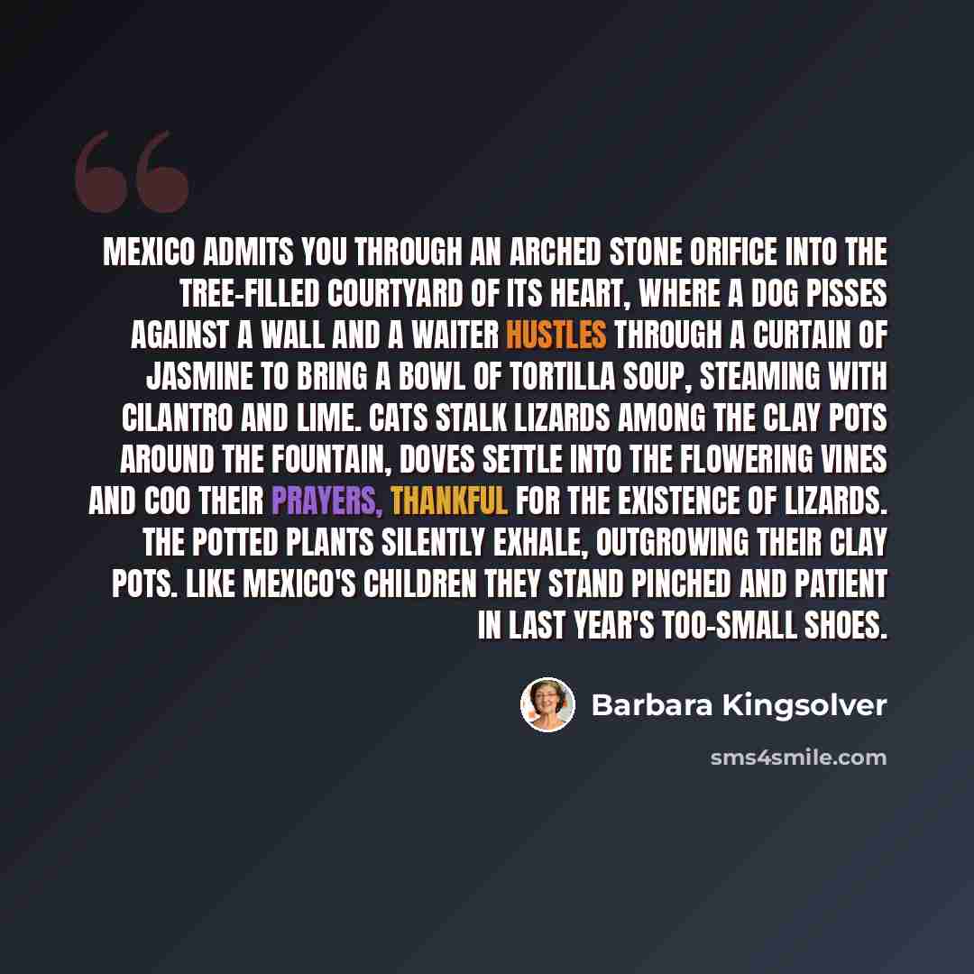 “Mexico admits you through an arched stone orifice into the tree-filled courtyard of its heart, where a dog pisses against a wall and a waiter hustles through a curtain of jasmine to bring a bowl of tortilla soup, steaming with cilantro and lime. Cats stalk lizards among the clay pots around the…” quote by Barbara Kingsolver