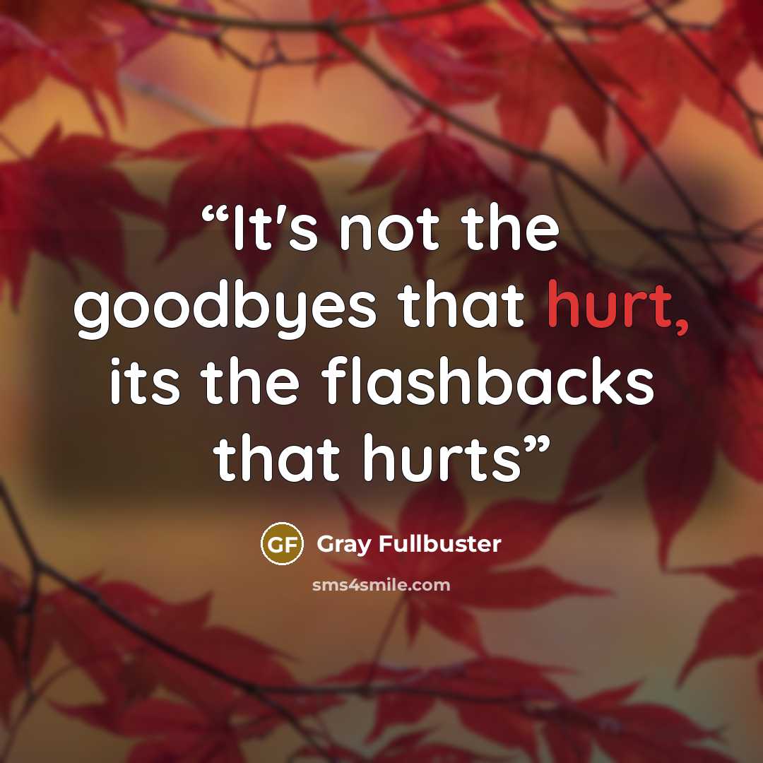 “It's not the goodbyes that hurt, its the flashbacks that hurts” quote by Gray Fullbuster
