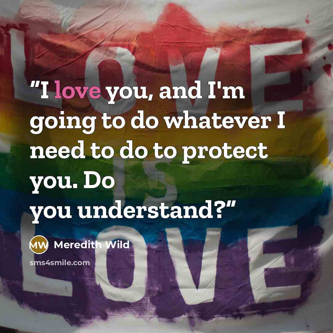 “I love you, and I'm going to do whatever I need to do to protect you. Do you understand?” quote by Meredith Wild