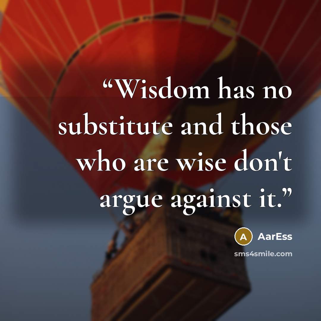 “Wisdom has no substitute and those who are wise don't argue against it.” quote by AarEss