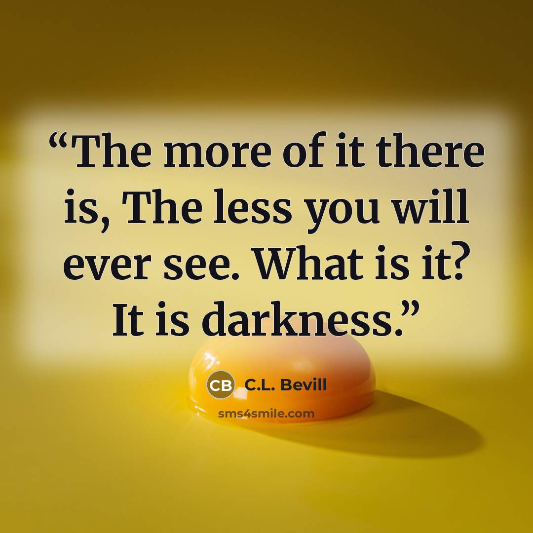 “The more of it there is, The less you will ever see. What is it? It is darkness.” quote by C.L. Bevill