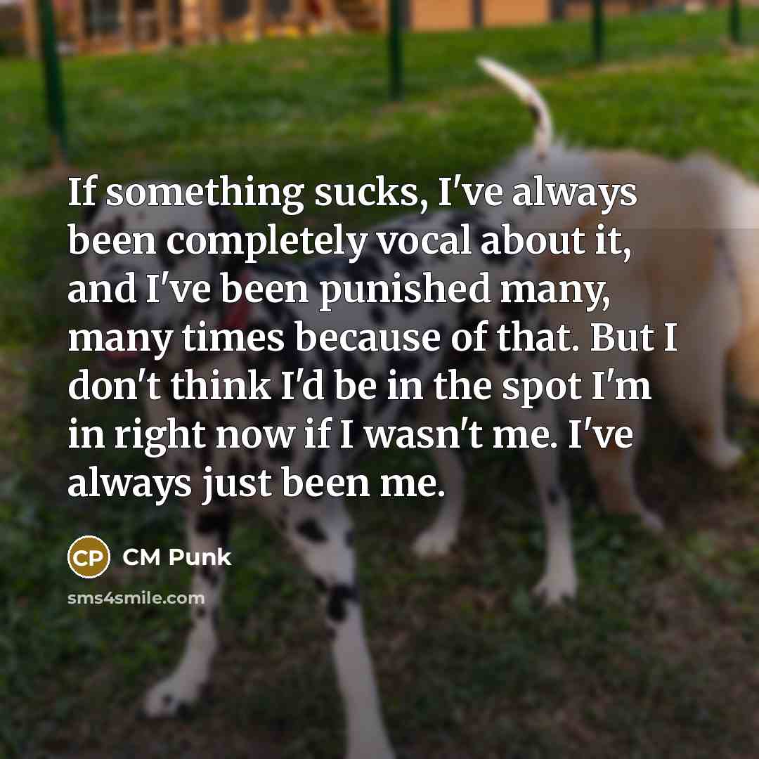 “If something sucks, I've always been completely vocal about it, and I've been punished many, many times because of that. But I don't think I'd be in the spot I'm in right now if I wasn't me. I've always just been me.” quote by CM Punk
