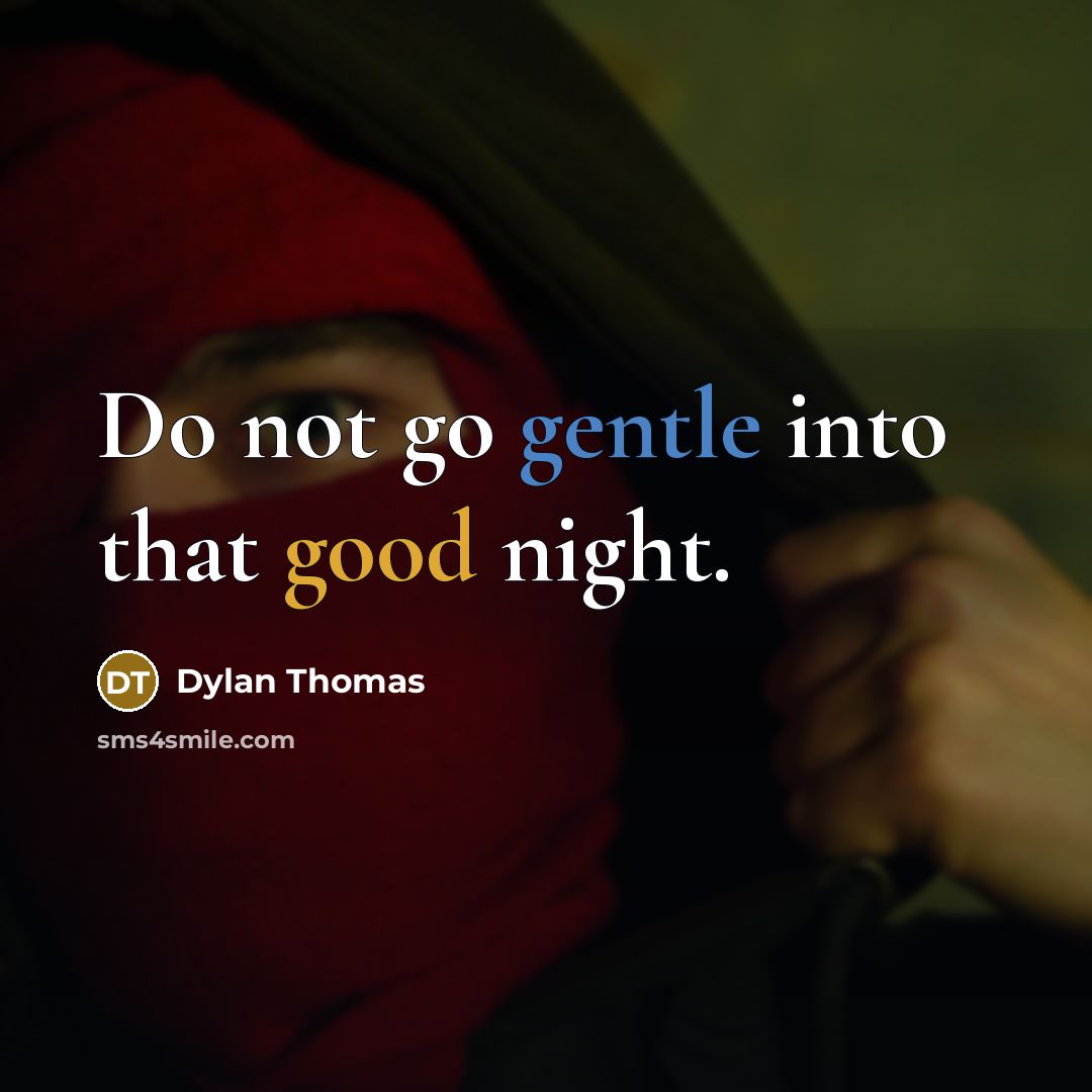 “Do not go gentle into that good night.” quote by Dylan Thomas