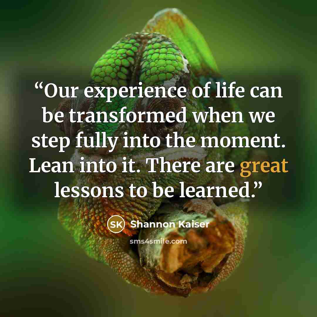 “Our experience of life can be transformed when we step fully into the moment. Lean into it. There are great lessons to be learned.” quote by Shannon Kaiser