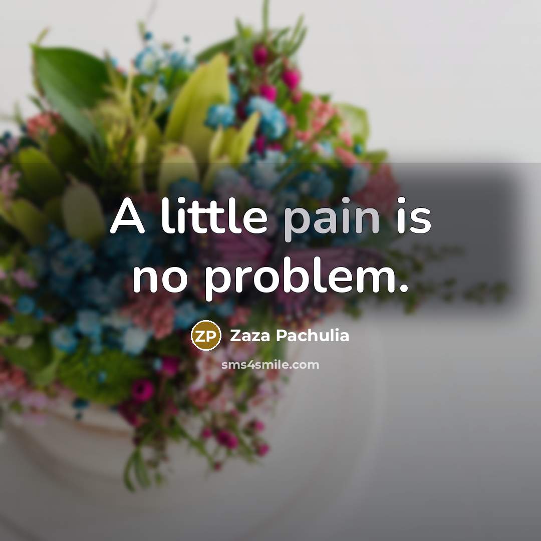 “A little pain is no problem.” quote by Zaza Pachulia
