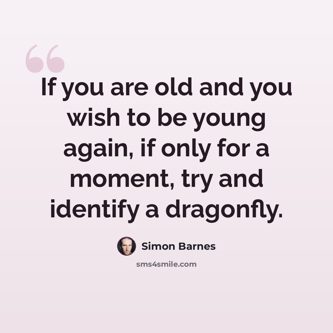 “If you are old and you wish to be young again, if only for a moment, try and identify a dragonfly.” quote by Simon Barnes