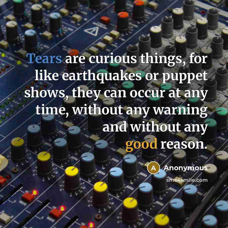 “Tears are curious things, for like earthquakes or puppet shows, they can occur at any time, without any warning and without any good reason.” quote by Anonymous