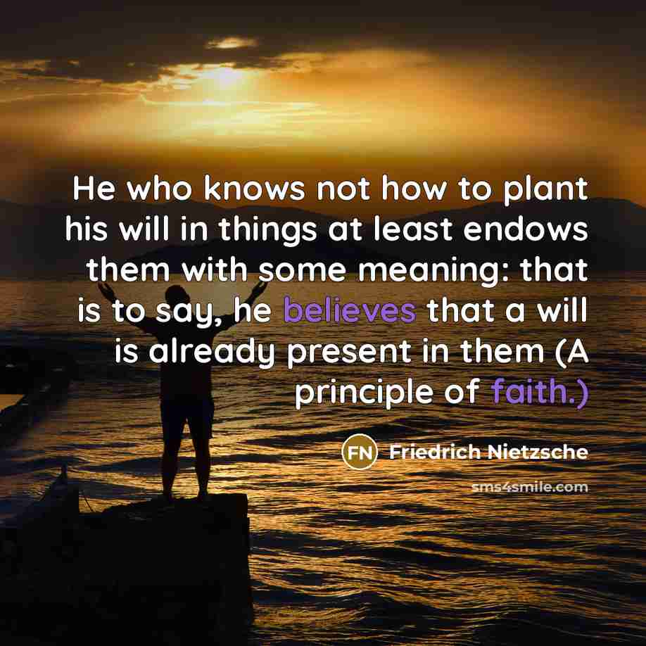 “He who knows not how to plant his will in things at least endows them with some meaning: that is to say, he believes that a will is already present in them (A principle of faith.)” quote by Friedrich Nietzsche
