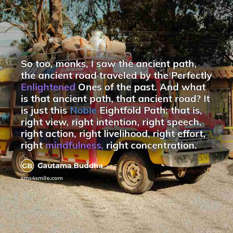 “So too, monks, I saw the ancient path, the ancient road traveled by the Perfectly Enlightened Ones of the past. And what is that ancient path, that ancient road? It is just this Noble Eightfold Path; that is, right view, right intention, right speech, right action, right livelihood, right effort…” quote by Gautama Buddha