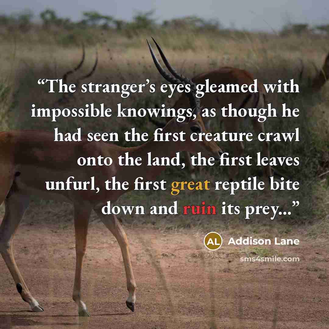 “The stranger’s eyes gleamed with impossible knowings, as though he had seen the first creature crawl onto the land, the first leaves unfurl, the first great reptile bite down and ruin its prey...” quote by Addison Lane