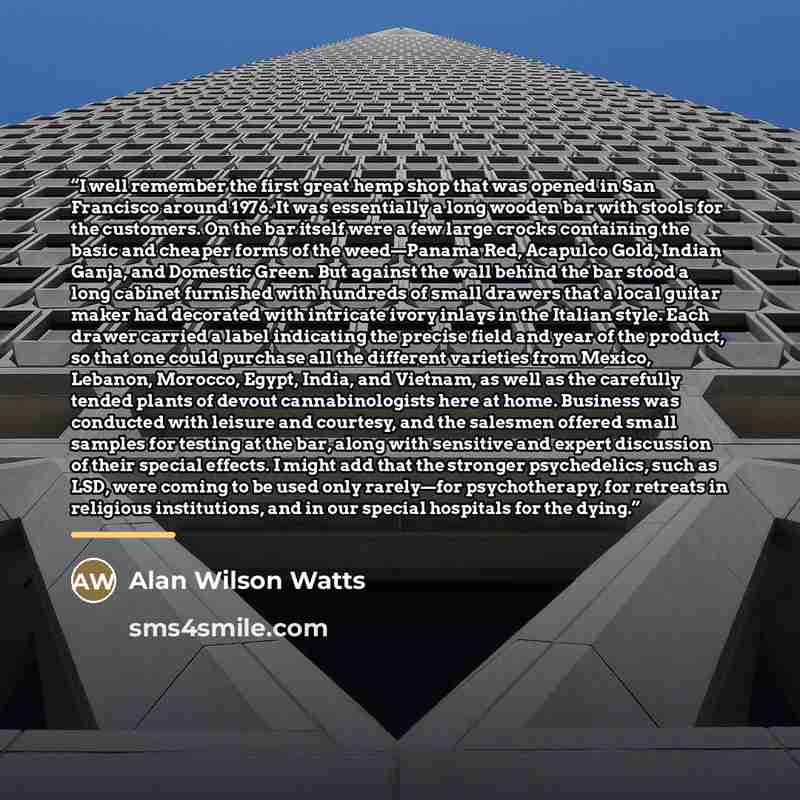 “I well remember the first great hemp shop that was opened in San Francisco around 1976. It was essentially a long wooden bar with stools for the customers. On the bar itself were a few large crocks containing the basic and cheaper forms of the weed—Panama Red, Acapulco Gold, Indian Ganja, and…” quote by Alan Wilson Watts