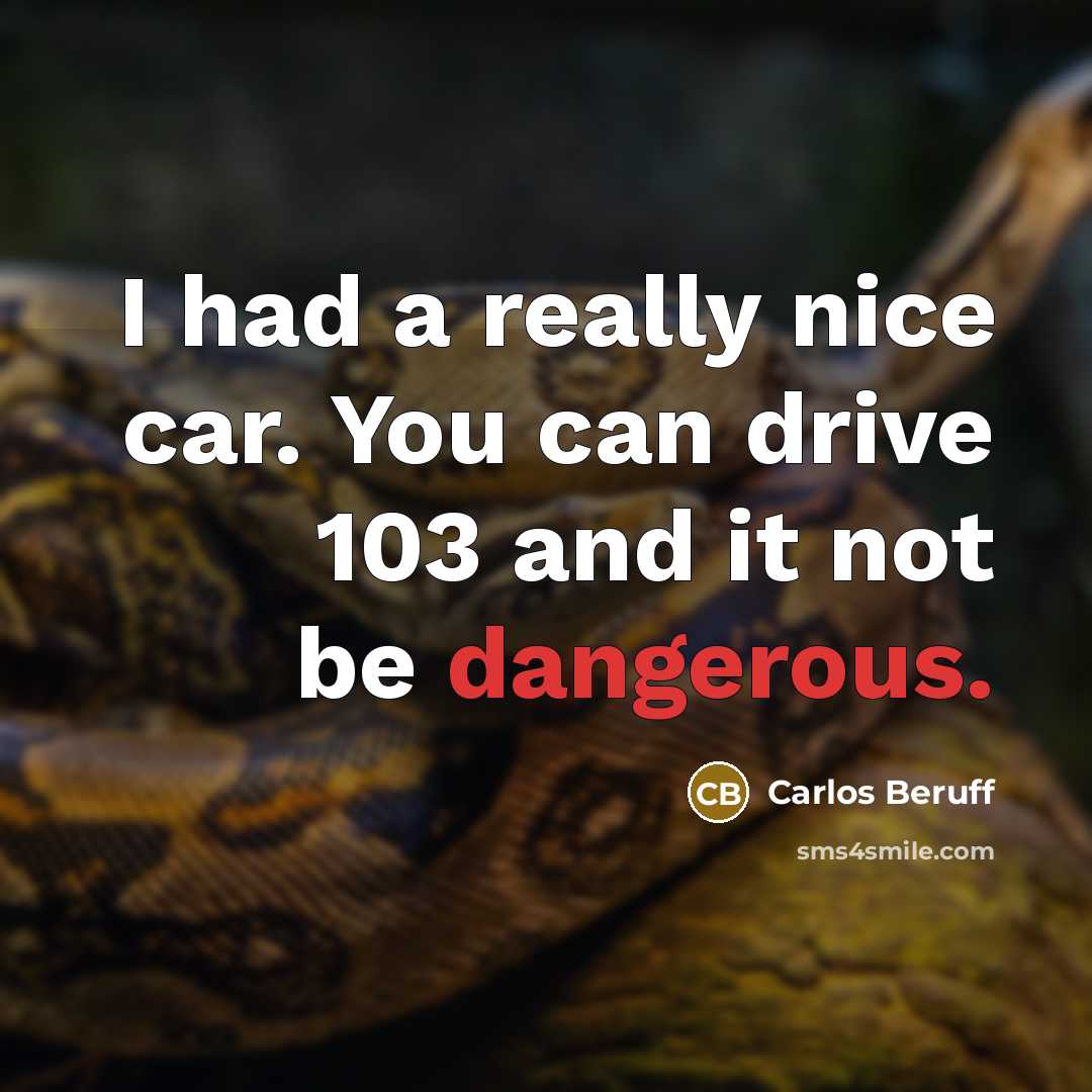 “I had a really nice car. You can drive 103 and it not be dangerous.” quote by Carlos Beruff