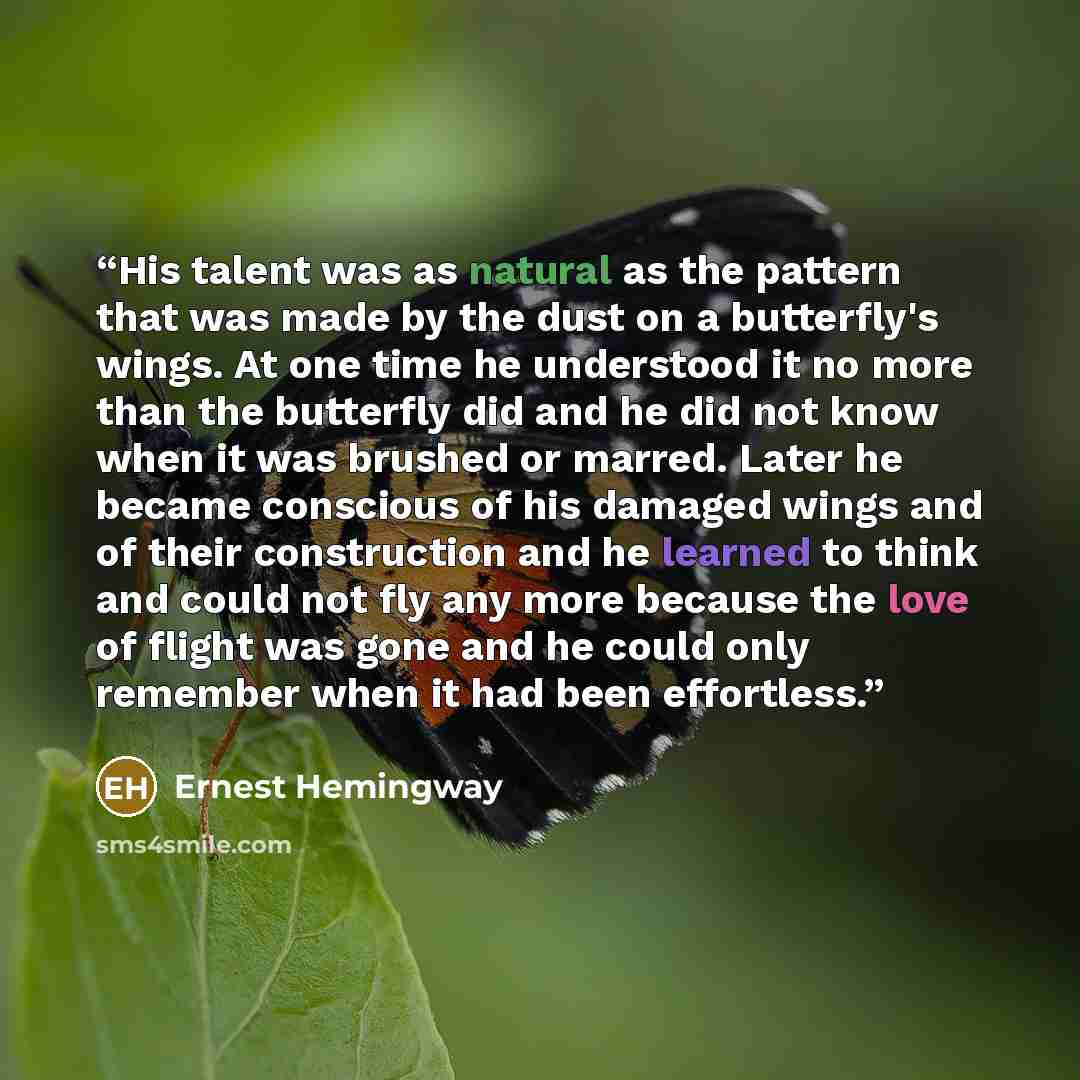 “His talent was as natural as the pattern that was made by the dust on a butterfly's wings. At one time he understood it no more than the butterfly did and he did not know when it was brushed or marred. Later he became conscious of his damaged wings and of their construction and he learned to think…” quote by Ernest Hemingway