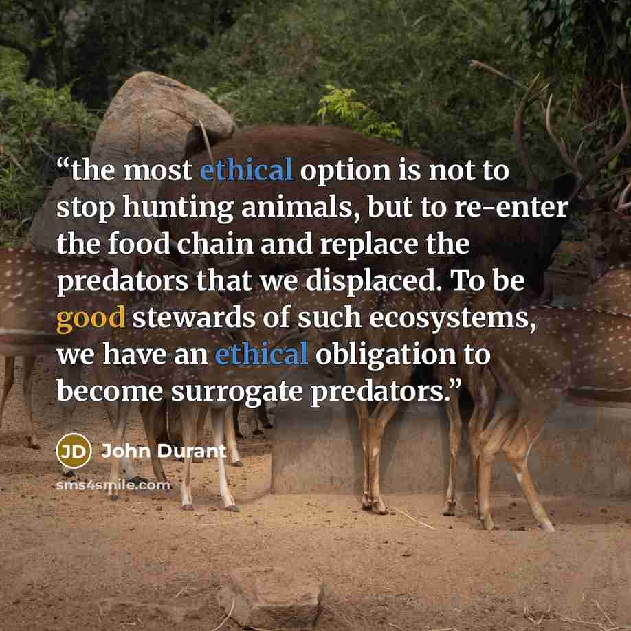 “the most ethical option is not to stop hunting animals, but to re-enter the food chain and replace the predators that we displaced. To be good stewards of such ecosystems, we have an ethical obligation to become surrogate predators.” quote by John Durant