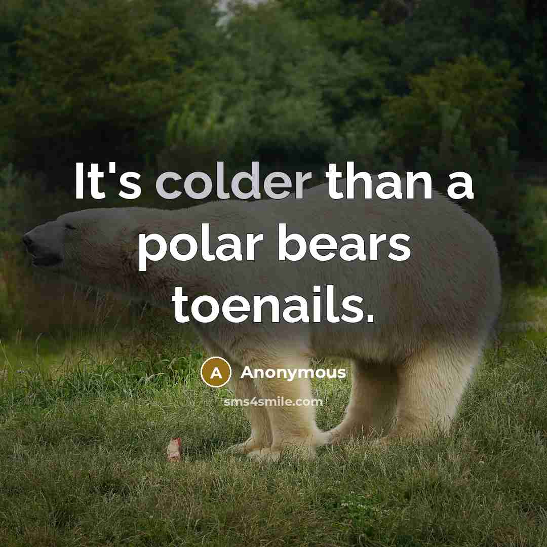 “It's colder than a polar bears toenails.” quote by Anonymous