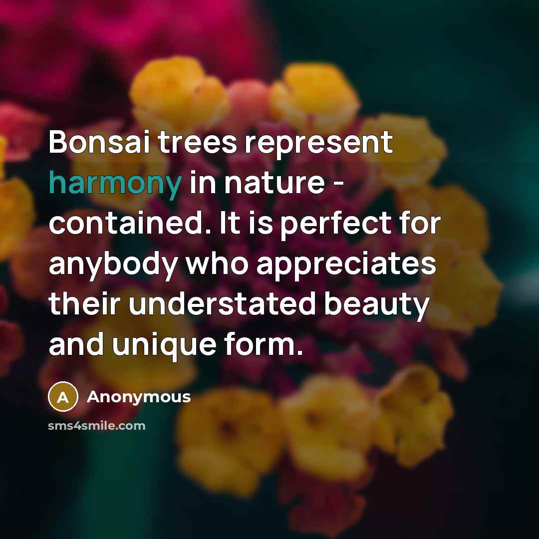 “Bonsai trees represent harmony in nature - contained. It is perfect for anybody who appreciates their understated beauty and unique form.” quote by Anonymous