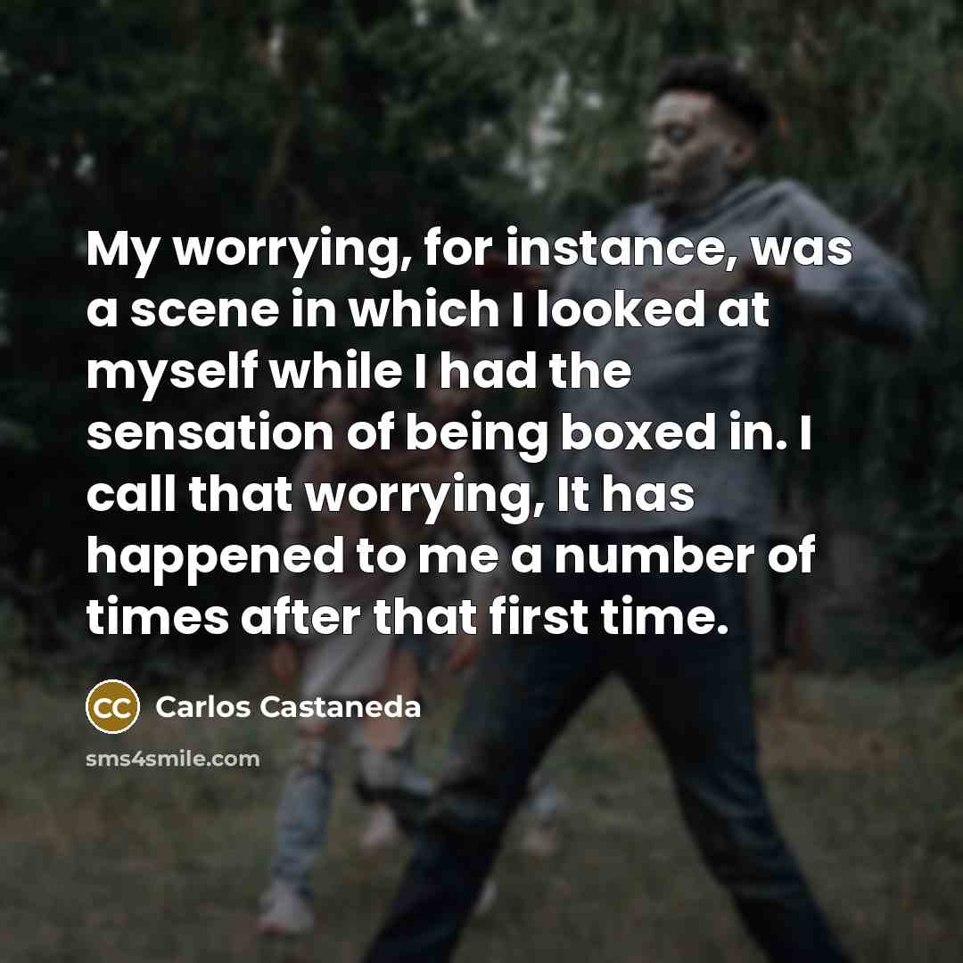 “My worrying, for instance, was a scene in which I looked at myself while I had the sensation of being boxed in. I call that worrying, It has happened to me a number of times after that first time.” quote by Carlos Castaneda