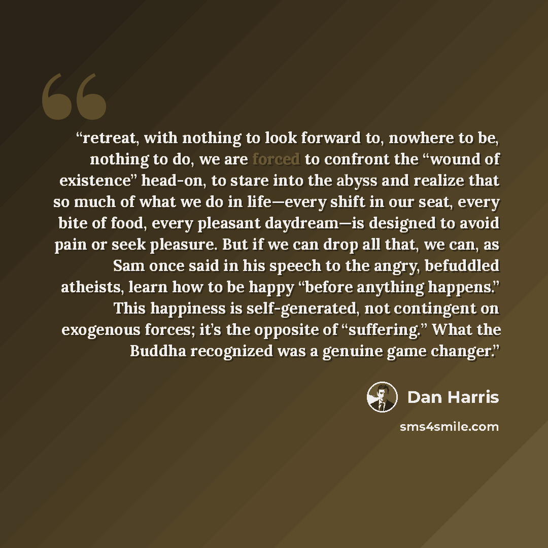 “retreat, with nothing to look forward to, nowhere to be, nothing to do, we are forced to confront the “wound of existence” head-on, to stare into the abyss and realize that so much of what we do in life—every shift in our seat, every bite of food, every pleasant daydream—is designed to avoid pain…” quote by Dan Harris