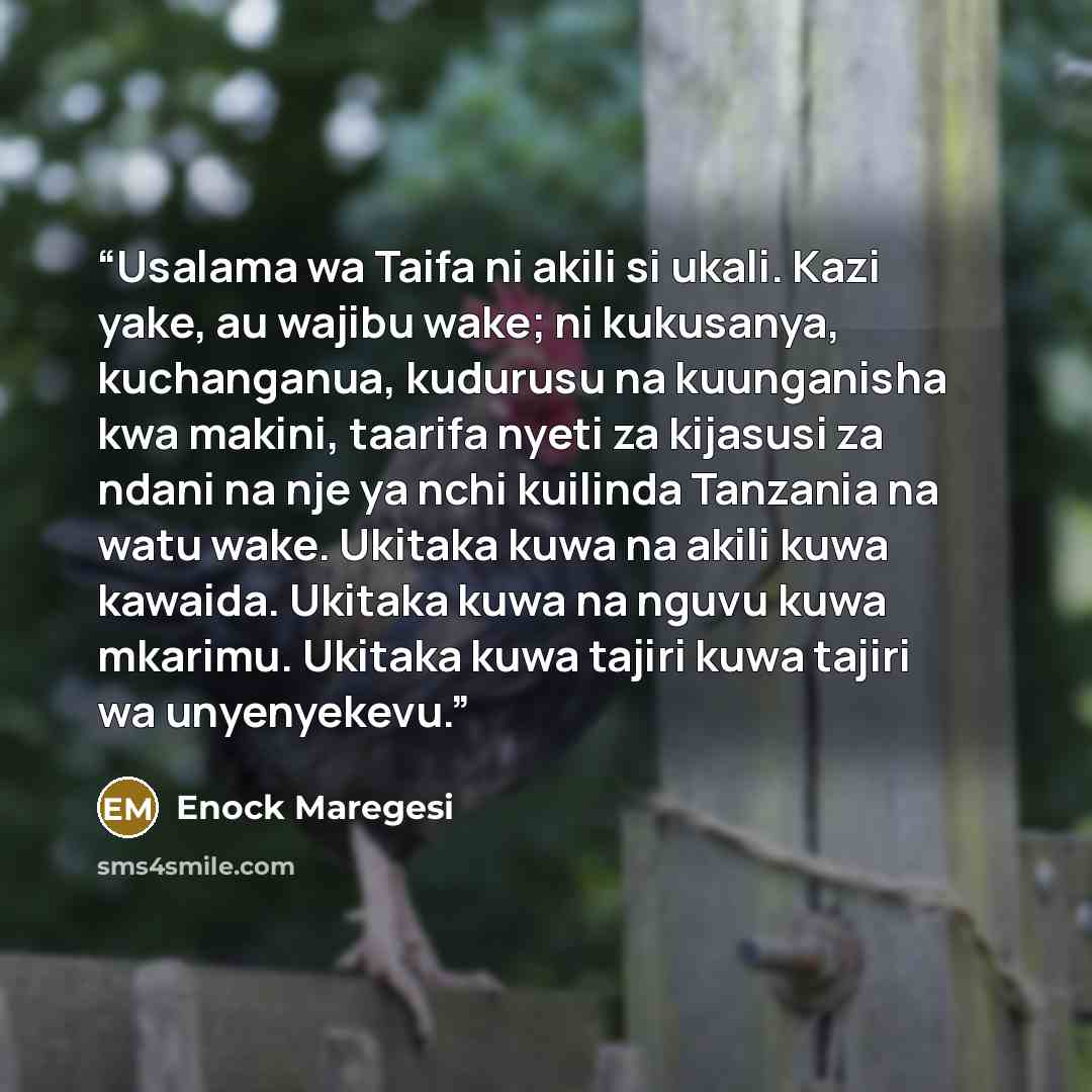 “Usalama wa Taifa ni akili si ukali. Kazi yake, au wajibu wake; ni kukusanya, kuchanganua, kudurusu na kuunganisha kwa makini, taarifa nyeti za kijasusi za ndani na nje ya nchi kuilinda Tanzania na watu wake. Ukitaka kuwa na akili kuwa kawaida. Ukitaka kuwa na nguvu kuwa mkarimu. Ukitaka kuwa…” quote by Enock Maregesi