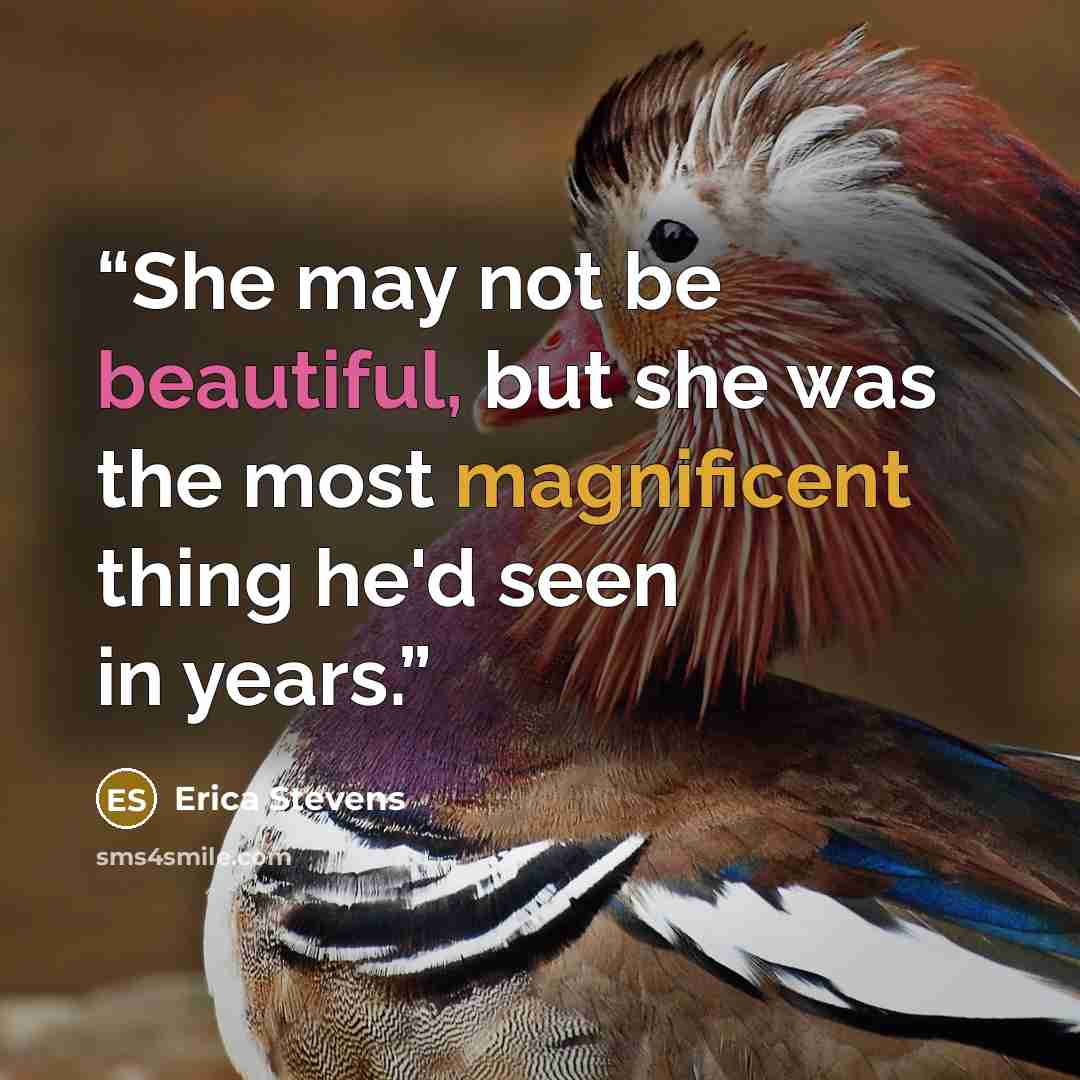 “She may not be beautiful, but she was the most magnificent thing he'd seen in years.” quote by Erica Stevens