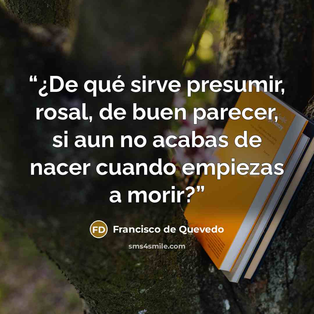 “¿De qué sirve presumir, rosal, de buen parecer, si aun no acabas de nacer cuando empiezas a morir?” quote by Francisco de Quevedo