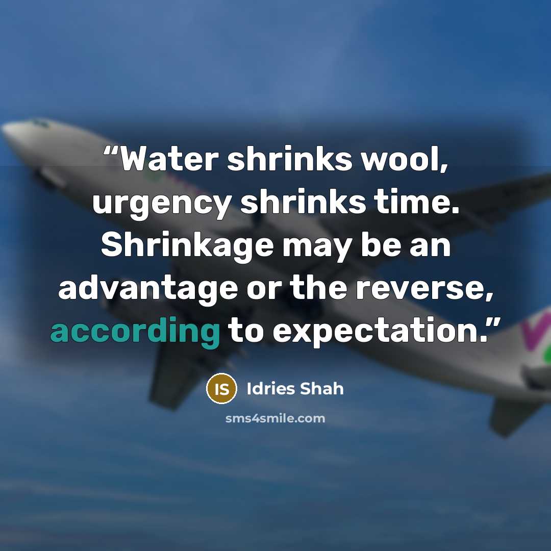 “Water shrinks wool, urgency shrinks time. Shrinkage may be an advantage or the reverse, according to expectation.” quote by Idries Shah