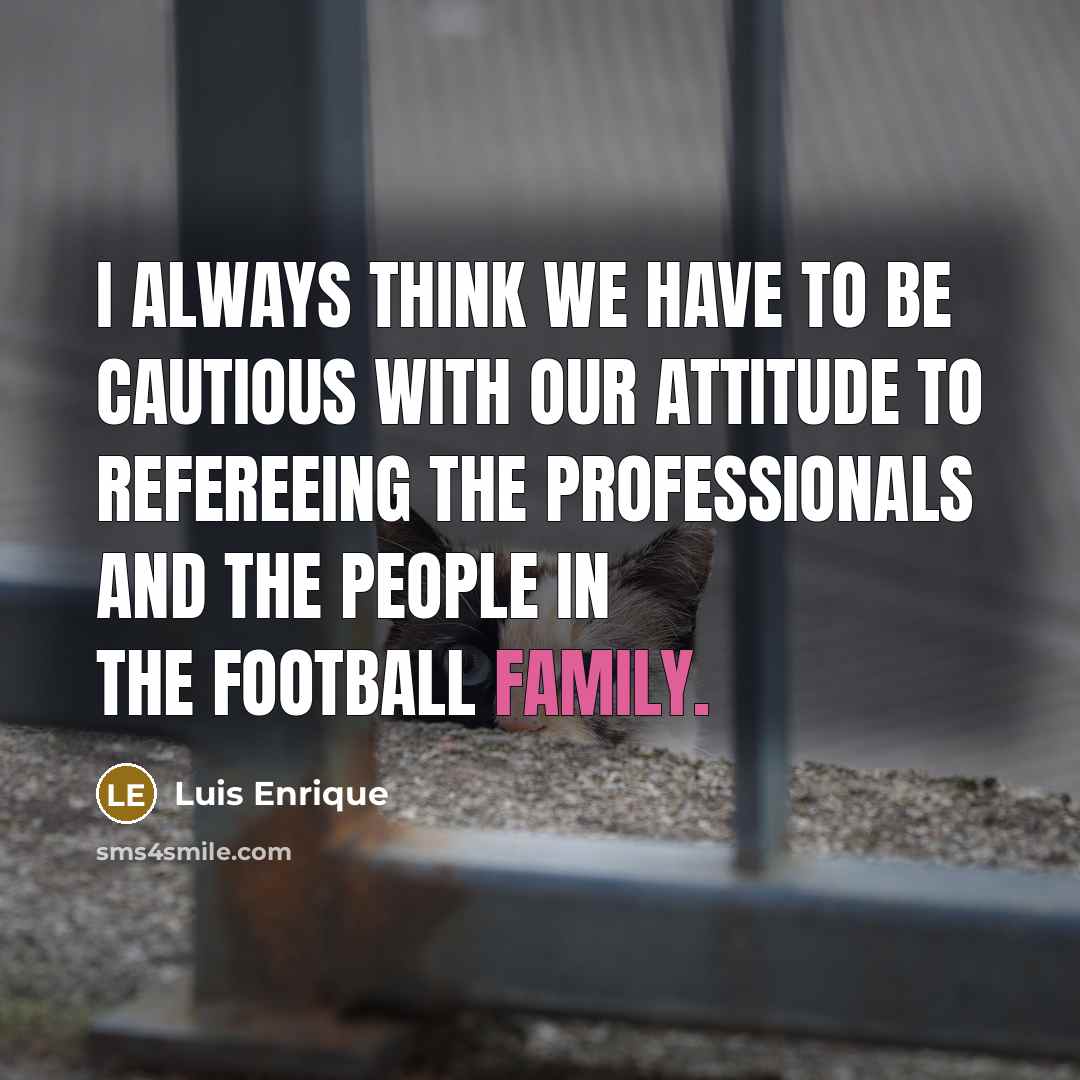 “I always think we have to be cautious with our attitude to refereeing the professionals and the people in the football family.” quote by Luis Enrique