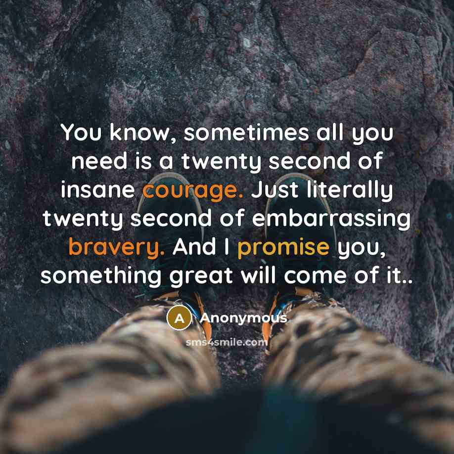 “You know, sometimes all you need is a twenty second of insane courage. Just literally twenty second of embarrassing bravery. And I promise you, something great will come of it..” quote by Anonymous