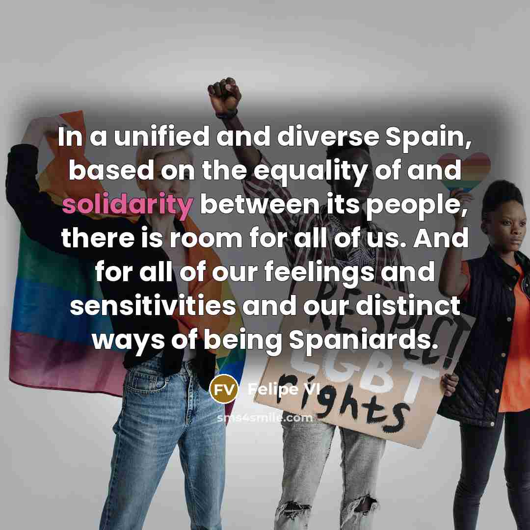 “In a unified and diverse Spain, based on the equality of and solidarity between its people, there is room for all of us. And for all of our feelings and sensitivities and our distinct ways of being Spaniards.” quote by Felipe VI