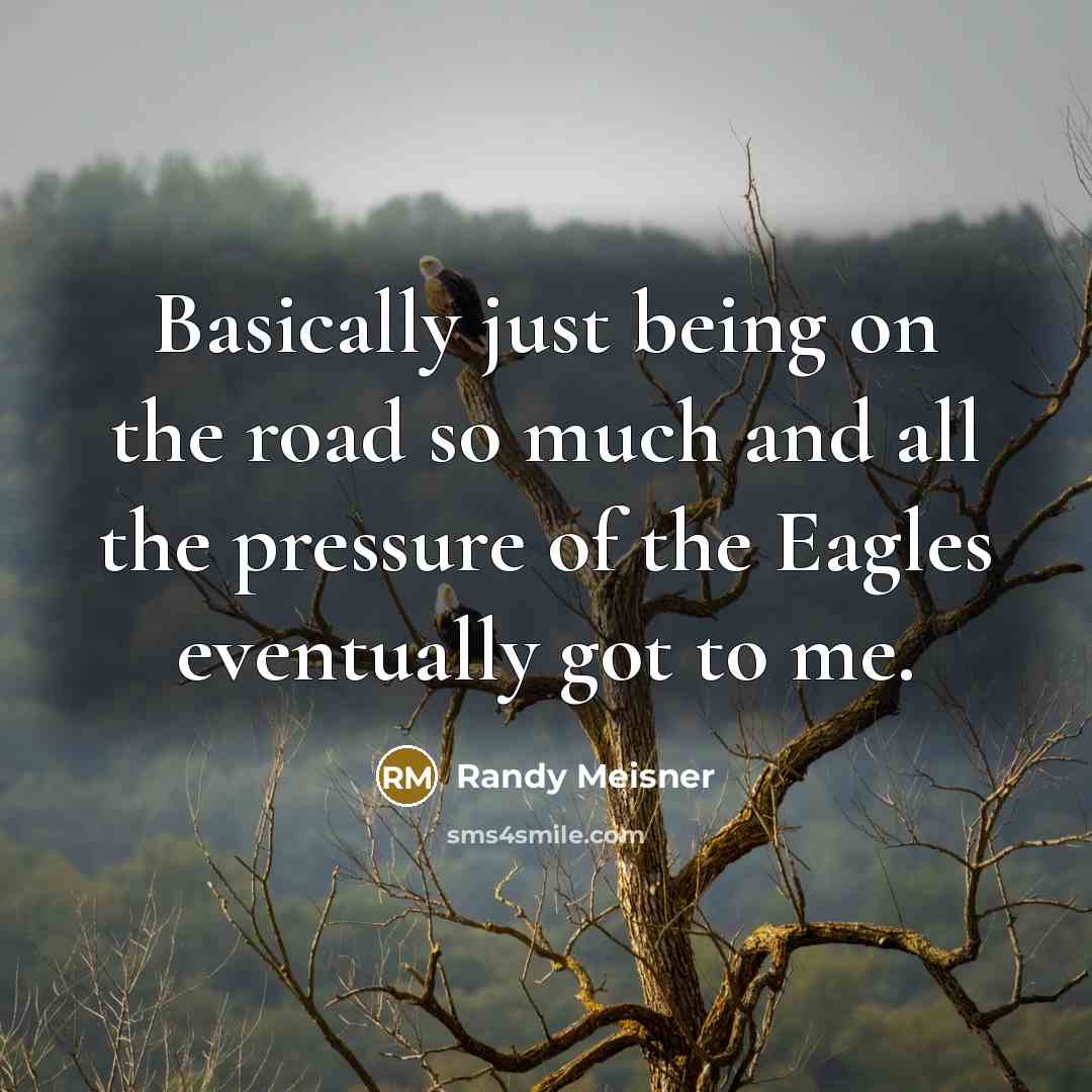 “Basically just being on the road so much and all the pressure of the Eagles eventually got to me.” quote by Randy Meisner