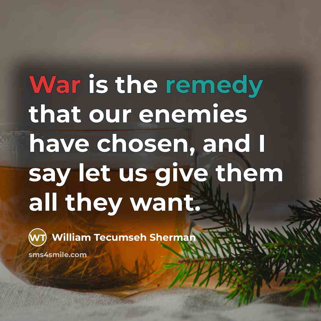 “War is the remedy that our enemies have chosen, and I say let us give them all they want.” quote by William Tecumseh Sherman