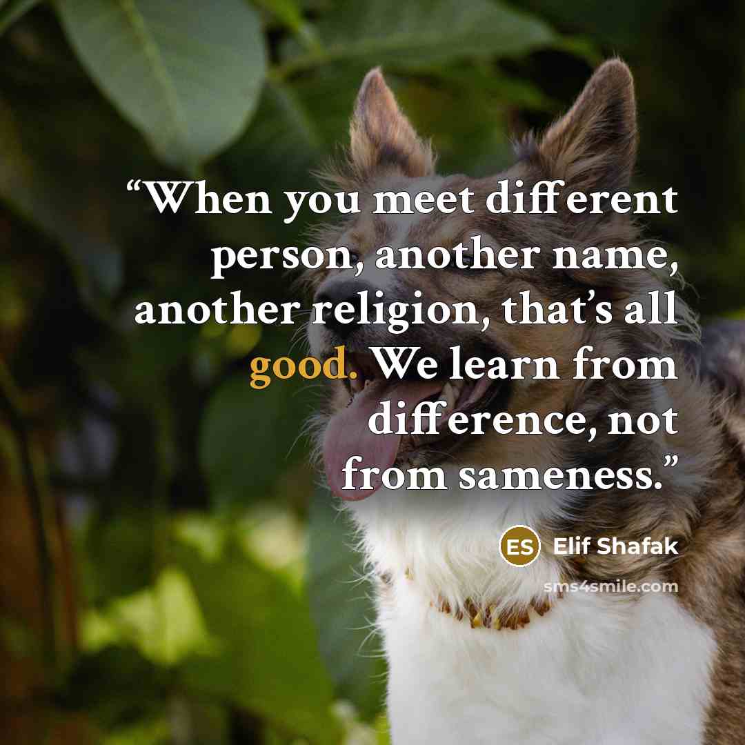 “When you meet different person, another name, another religion, that’s all good. We learn from difference, not from sameness.” quote by Elif Shafak