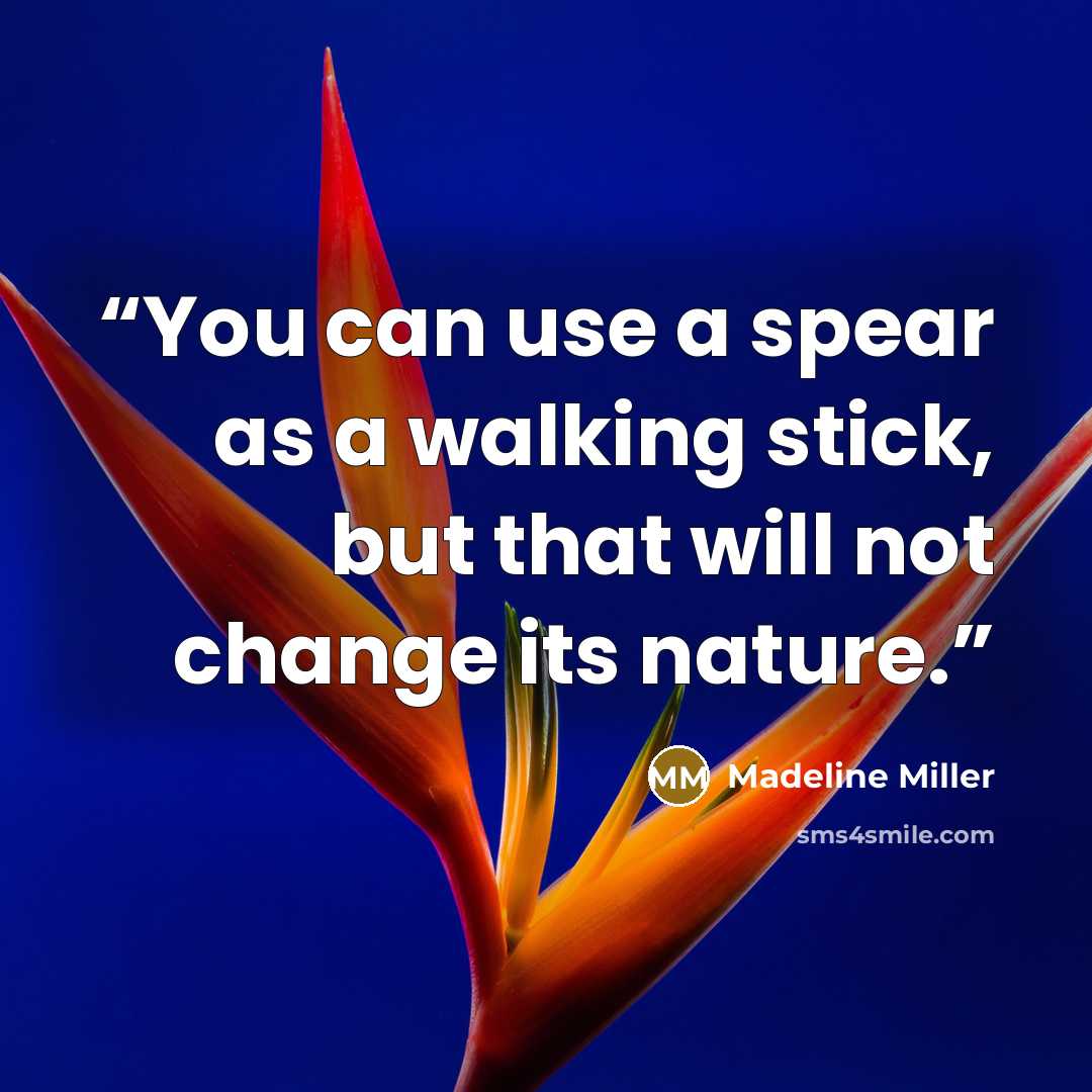 “You can use a spear as a walking stick, but that will not change its nature.” quote by Madeline Miller