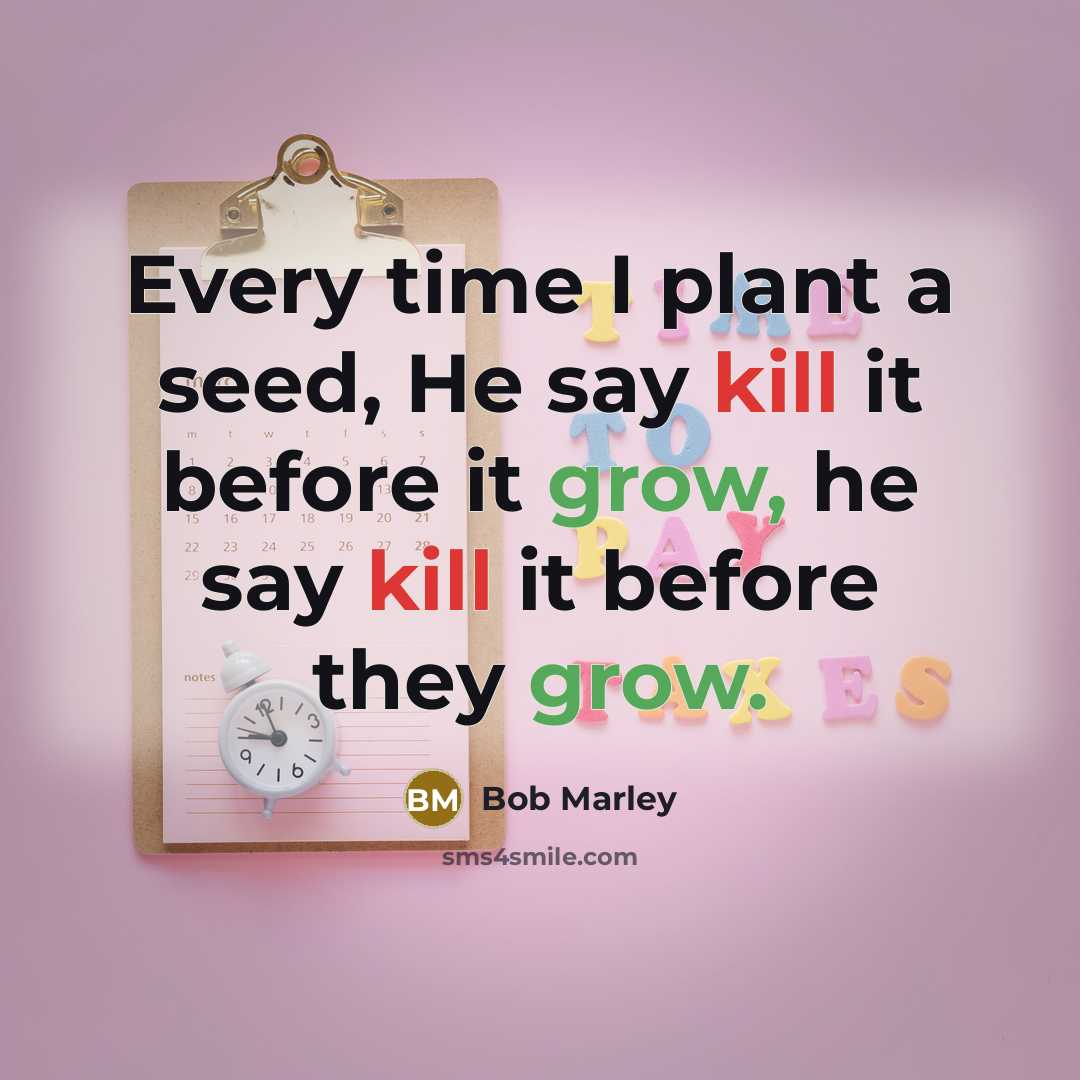 “Every time I plant a seed, He say kill it before it grow, he say kill it before they grow.” quote by Bob Marley