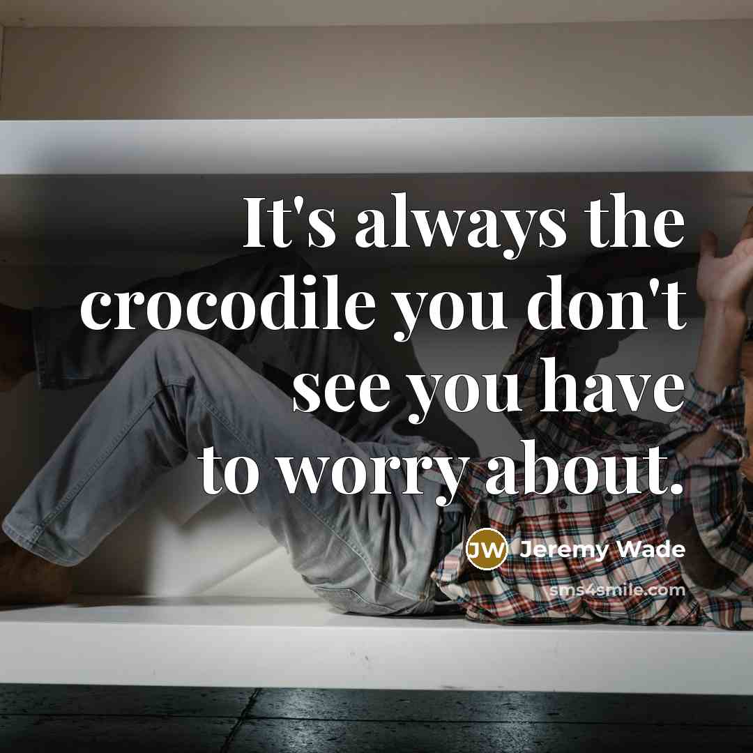 “It's always the crocodile you don't see you have to worry about.” quote by Jeremy Wade