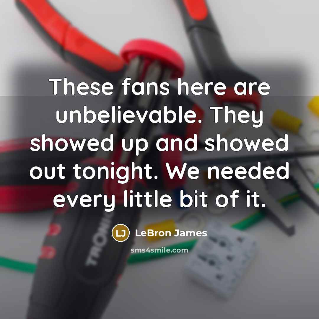 “These fans here are unbelievable. They showed up and showed out tonight. We needed every little bit of it.” quote by LeBron James